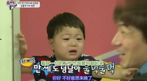 哭的满地打滚表情包,表情包中的情感释放与共鸣